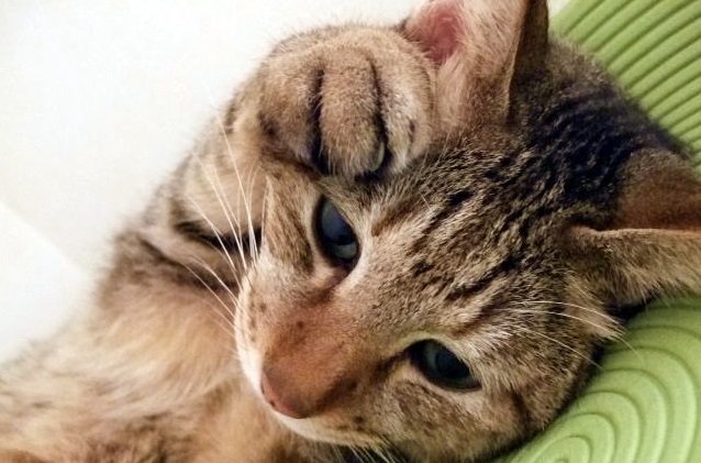 そのほかの困った